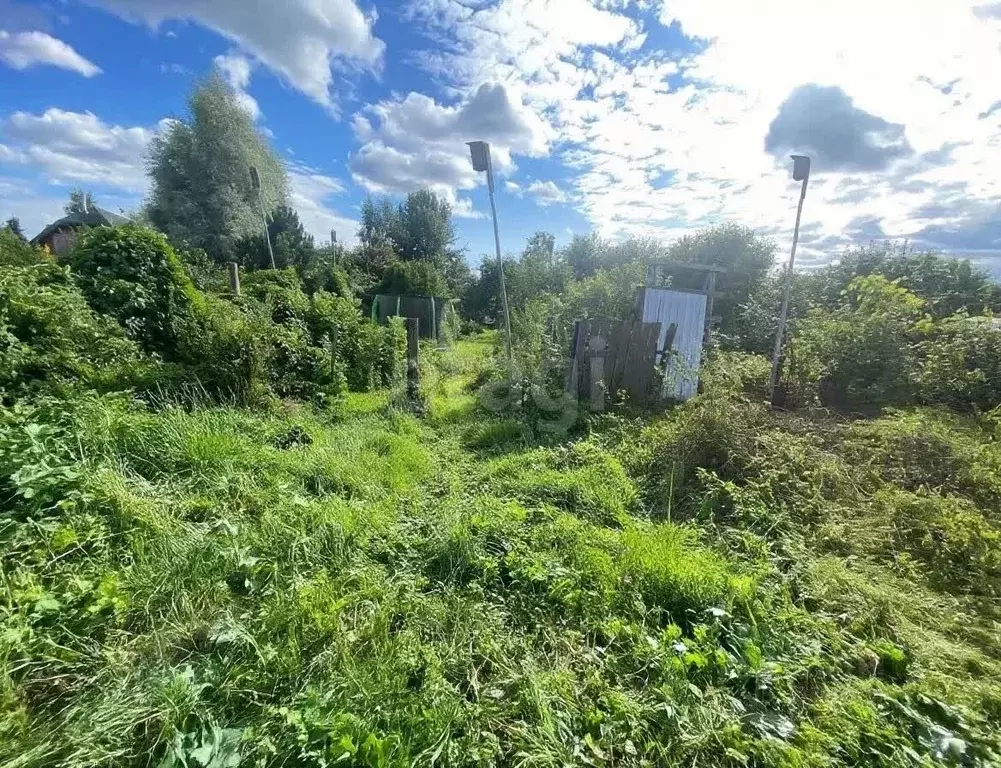 Участок в Тверская область, Калининский муниципальный округ, д. Курово ... - Фото 2