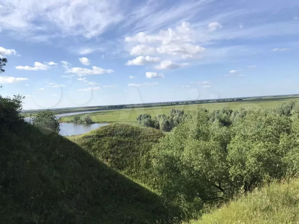 Участок в Рязанская область, Рязанский район, Дядьковское с/пос, с. ... - Фото 0