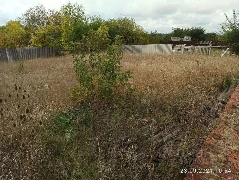 Участок в Белгородская область, Белгородский район, Никольское с/пос, ... - Фото 0