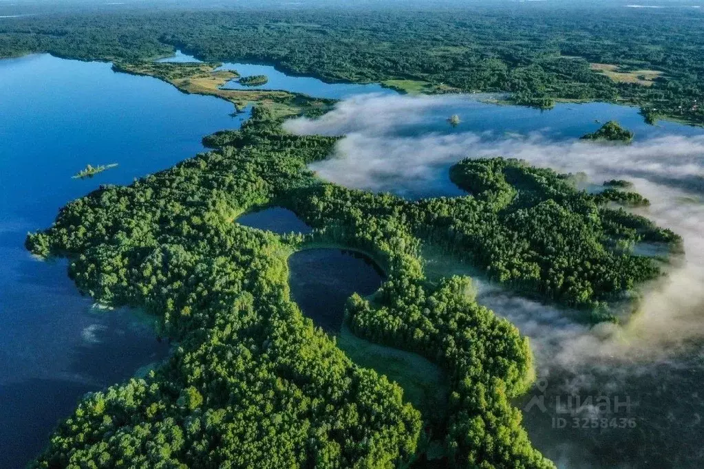 Участок в Новгородская область, Валдайский район, Ивантеевское с/пос, ... - Фото 0