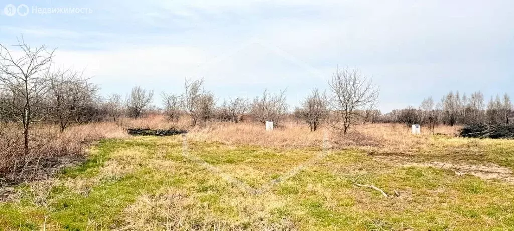 Участок в Зеленоградск, Ботаническая улица (6 м) - Фото 2