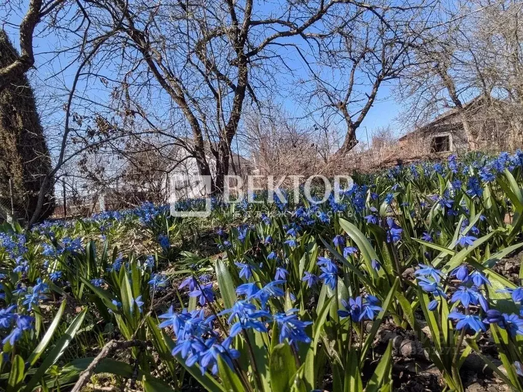 Участок в Ивановская область, Иваново 40 лет Октября СНТ, 31 (6.81 ... - Фото 2