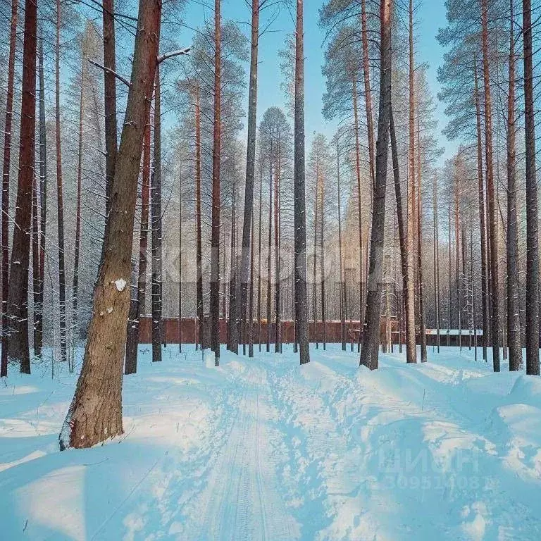 Таунхаус в Кемеровская область, Кемерово ул. Металлистов (117 м) - Фото 1