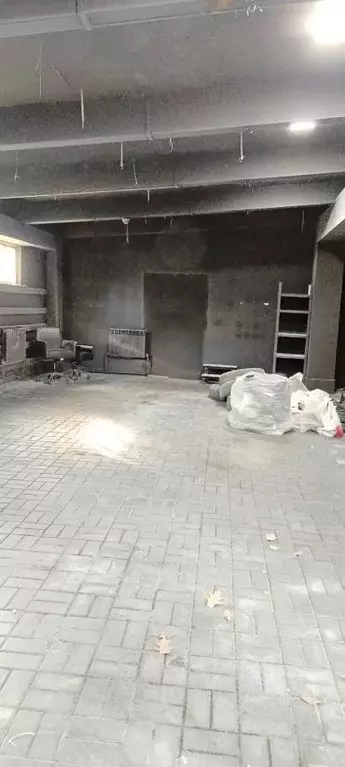 Помещение свободного назначения в Московская область, Домодедово ... - Фото 2