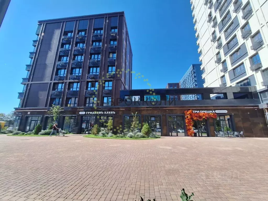 Помещение свободного назначения в Ростовская область, Ростов-на-Дону ... - Фото 2