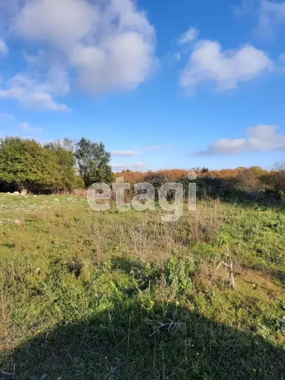 Участок в Краснодарский край, Новороссийск городской округ, с. ... - Фото 1