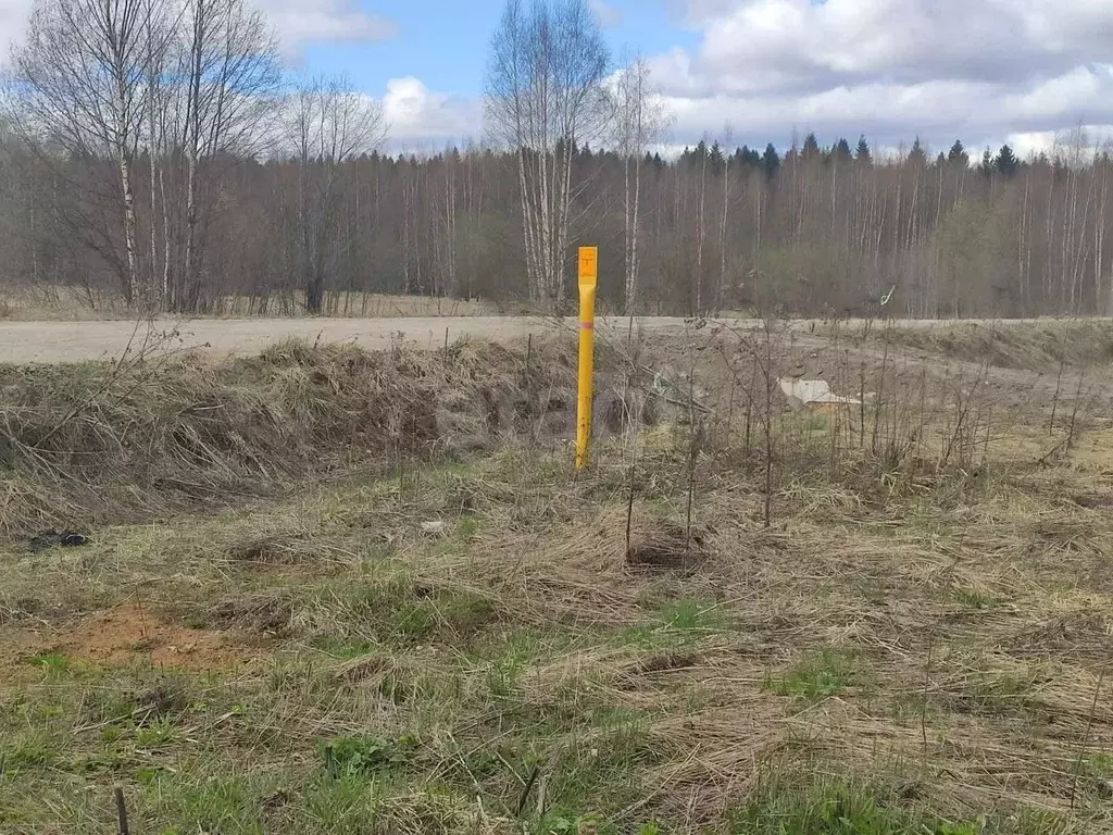 Участок в Вологодская область, пос. Лесково  (8.0 сот.) - Фото 1