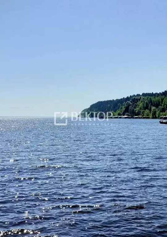 Участок в Ивановская область, Юрьевецкий район, Михайловское с/пос, д. ... - Фото 2