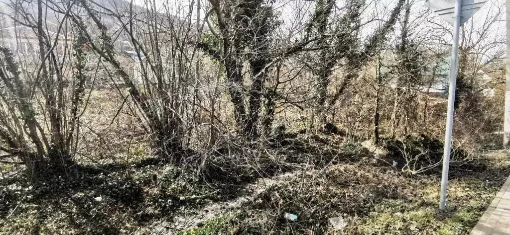 Участок в Краснодарский край, Геленджик городской округ, с. Пшада ул. ... - Фото 1