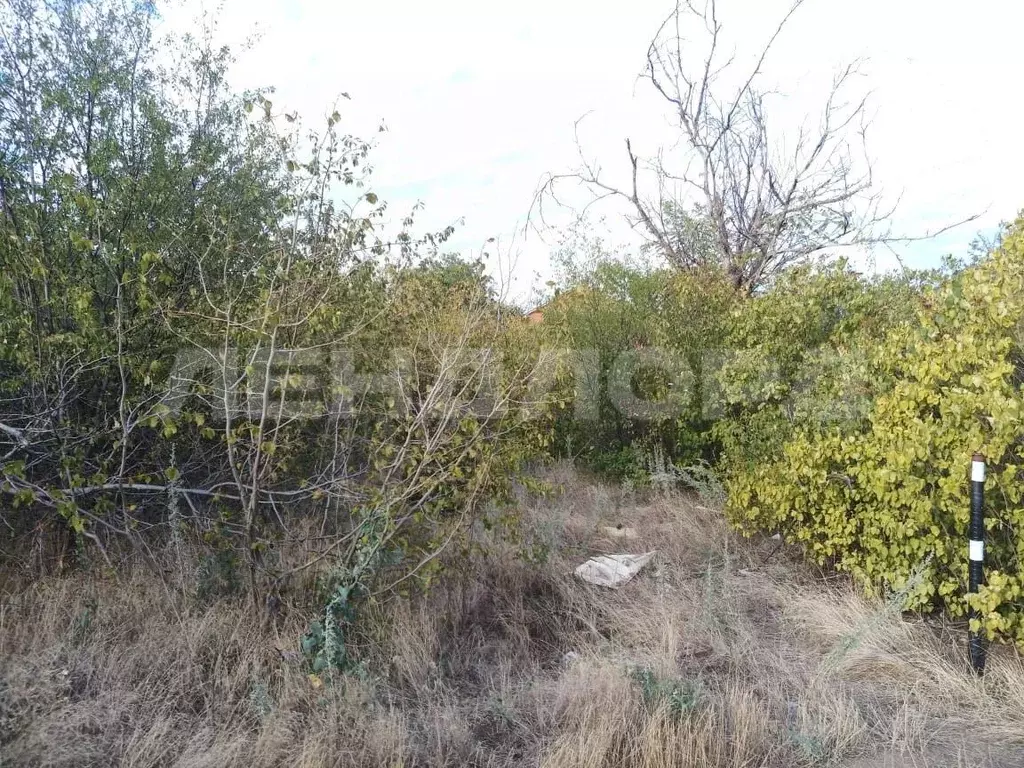 Участок в Ростовская область, Новочеркасск № 16 садовое товарищество, ... - Фото 1