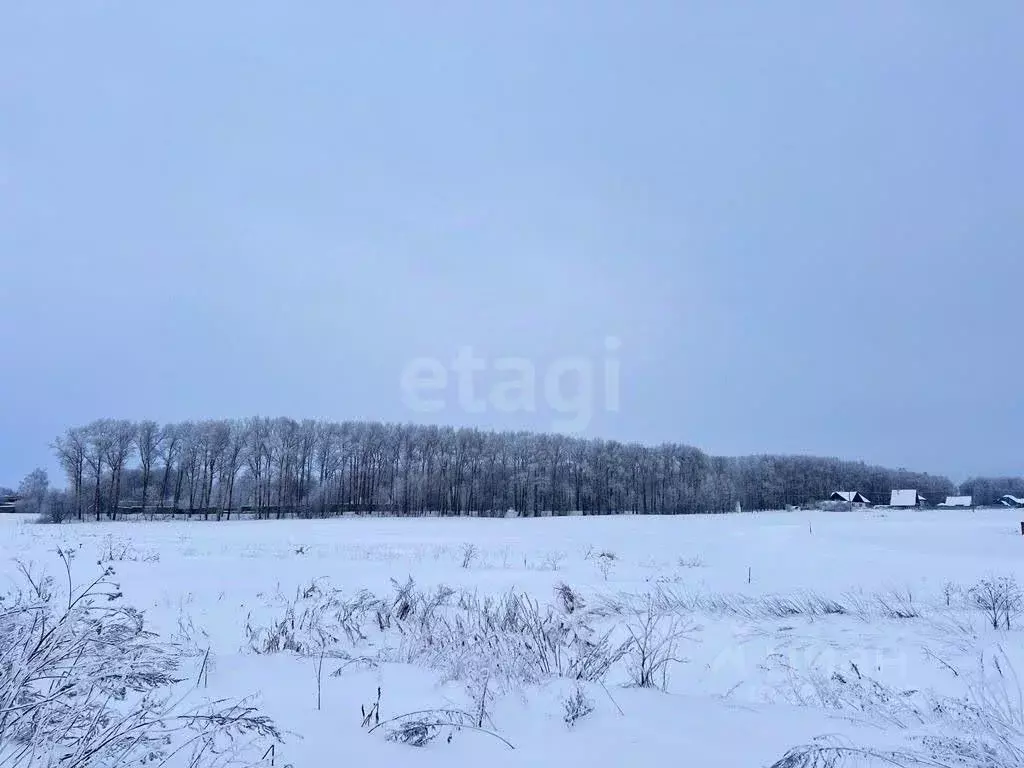 Участок в Вологодская область, пос. Грибково  (10.0 сот.) - Фото 0