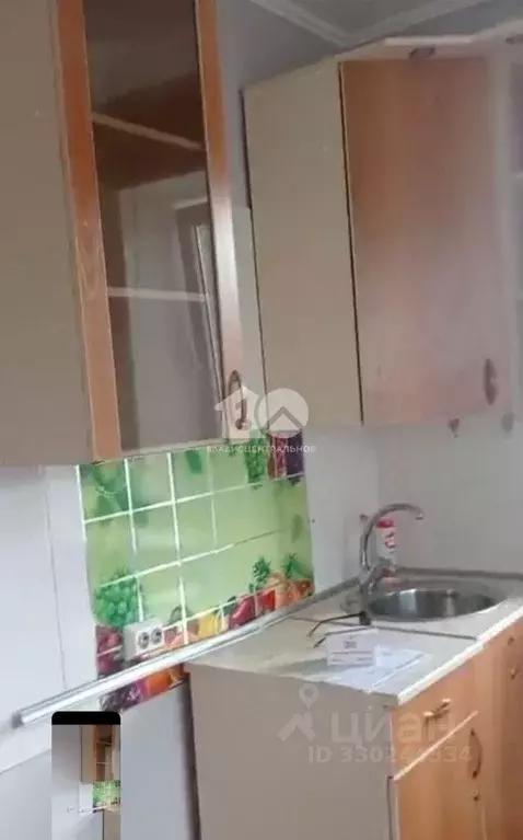 Студия Новосибирская область, Бердск Южный мкр, пер. Белокаменный, 18 ... - Фото 1