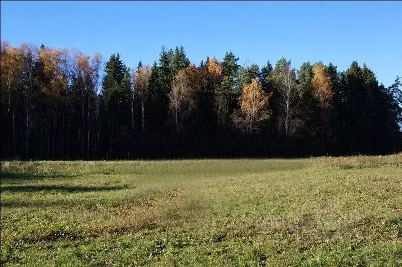Участок в Московская область, Солнечногорск городской округ, д. ... - Фото 0