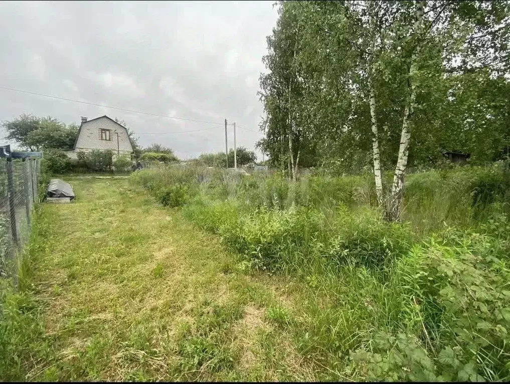 Участок в Брянская область, Брянский район, Снежское с/пос, с. ... - Фото 0