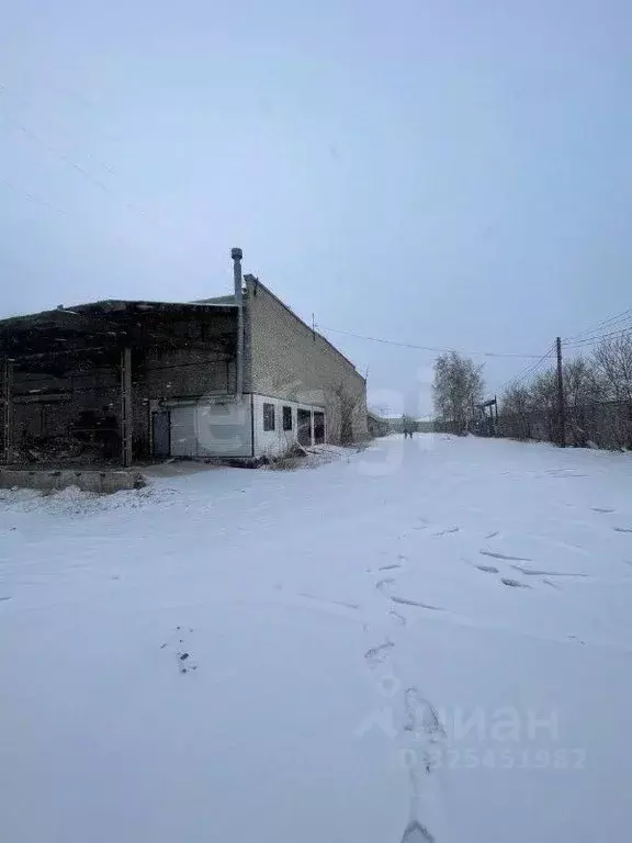Склад в Курганская область, Курган Омская ул., 100 (1083 м) - Фото 1