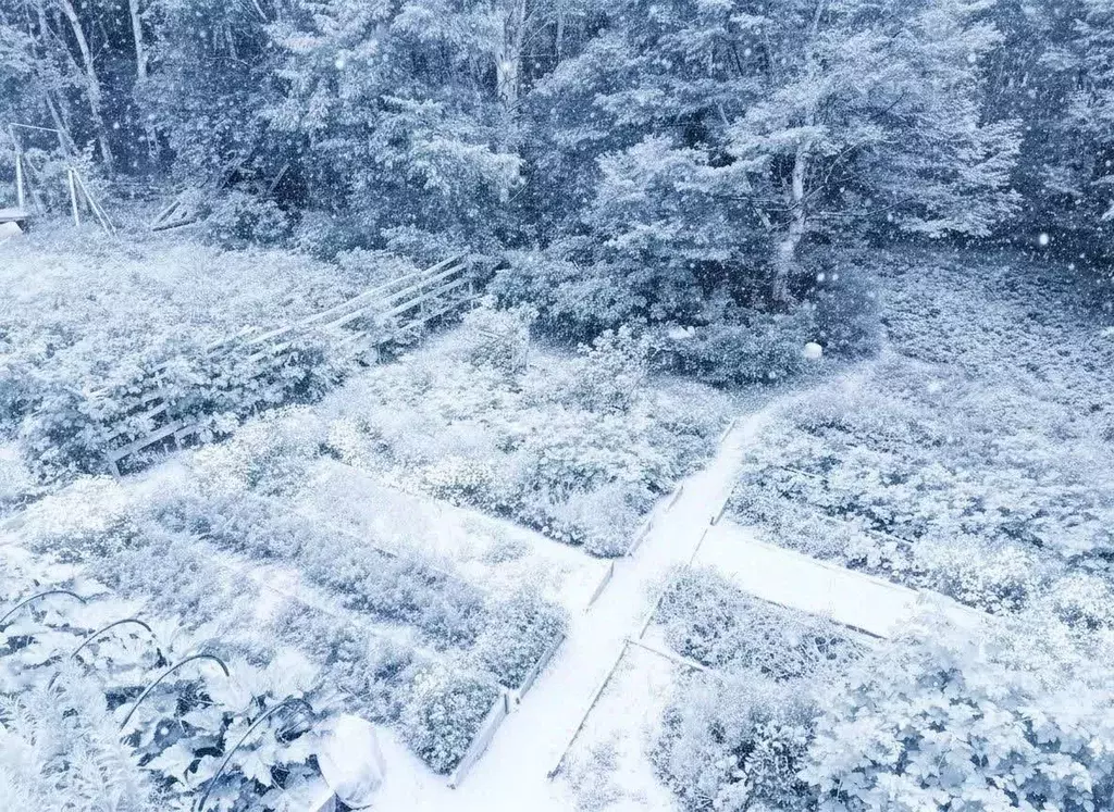 Дом в Камчатский край, Елизовский муниципальный округ, Орбита СНТ  (62 ... - Фото 1