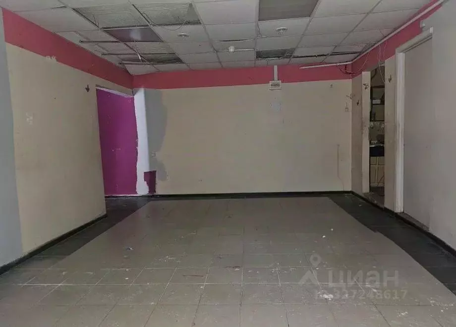 Помещение свободного назначения в Пермский край, Соликамск ул. ... - Фото 2