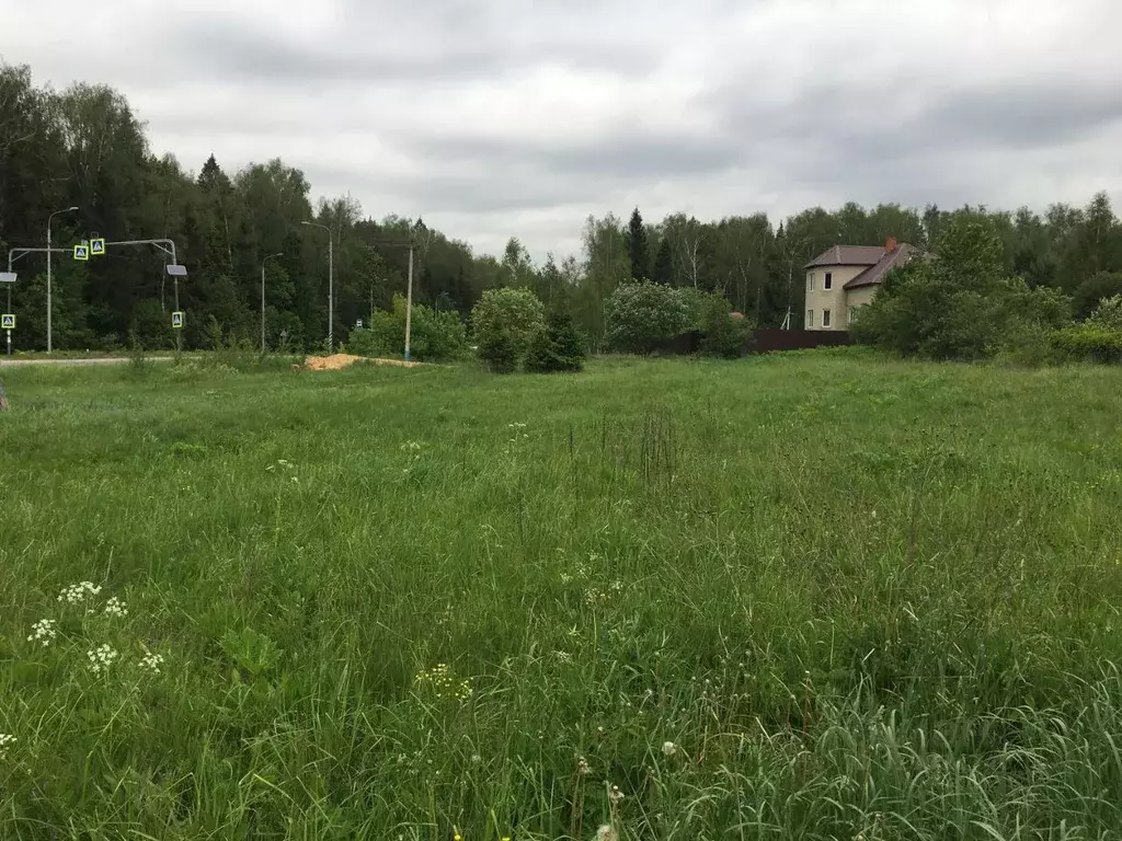 Участок в Московская область, Пушкинский городской округ, д. Дарьино  ... - Фото 0