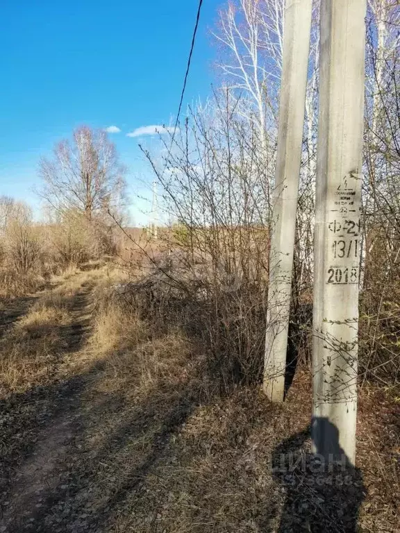 Участок в Амурская область, Благовещенск Березка СНТ,  (9.0 сот.) - Фото 0