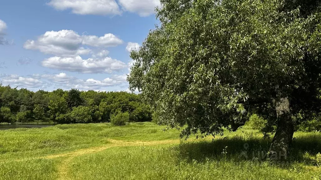 Участок в Московская область, Одинцовский городской округ, с. ... - Фото 2