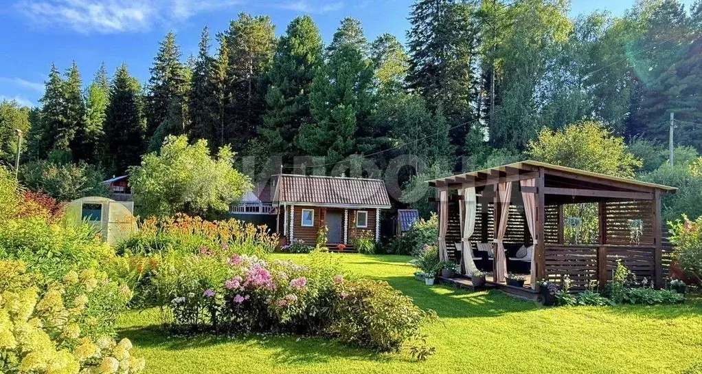 Дом в Томская область, Томск  (50 м) - Фото 1