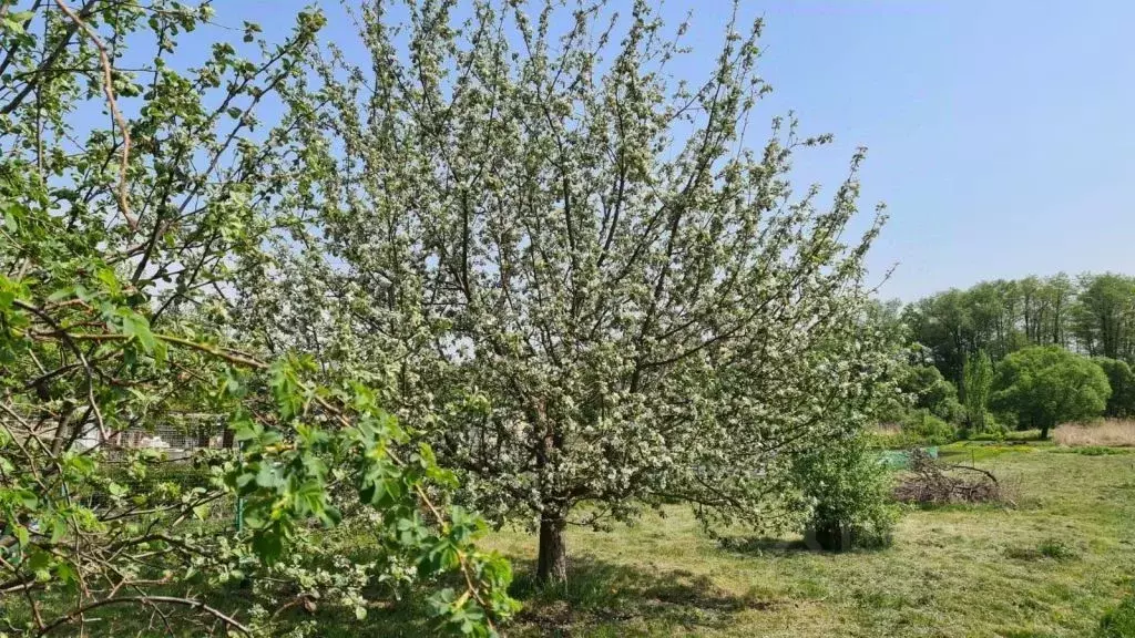 Дом в Тамбовская область, Тамбов городской округ, с. ... - Фото 1