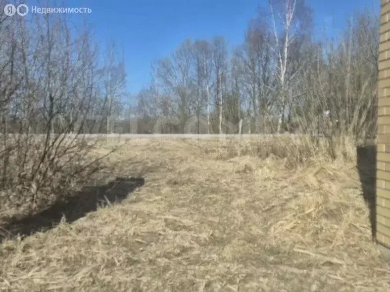 Участок в Богородский городской округ, село Новосергиево (11 м) - Фото 2