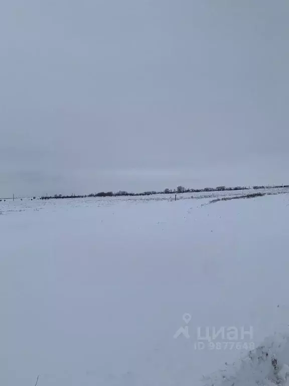 Участок в Волгоградская область, Городищенский район, Паньшинское ... - Фото 1