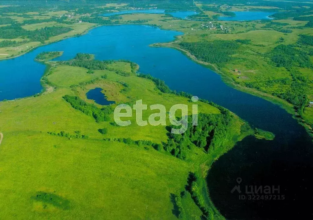 Участок в Вологодская область, Тотемский муниципальный округ, д. ... - Фото 1
