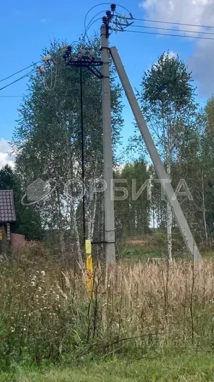 Участок в Тюменская область, Нижнетавдинский район, Царицыно СНТ  ... - Фото 1