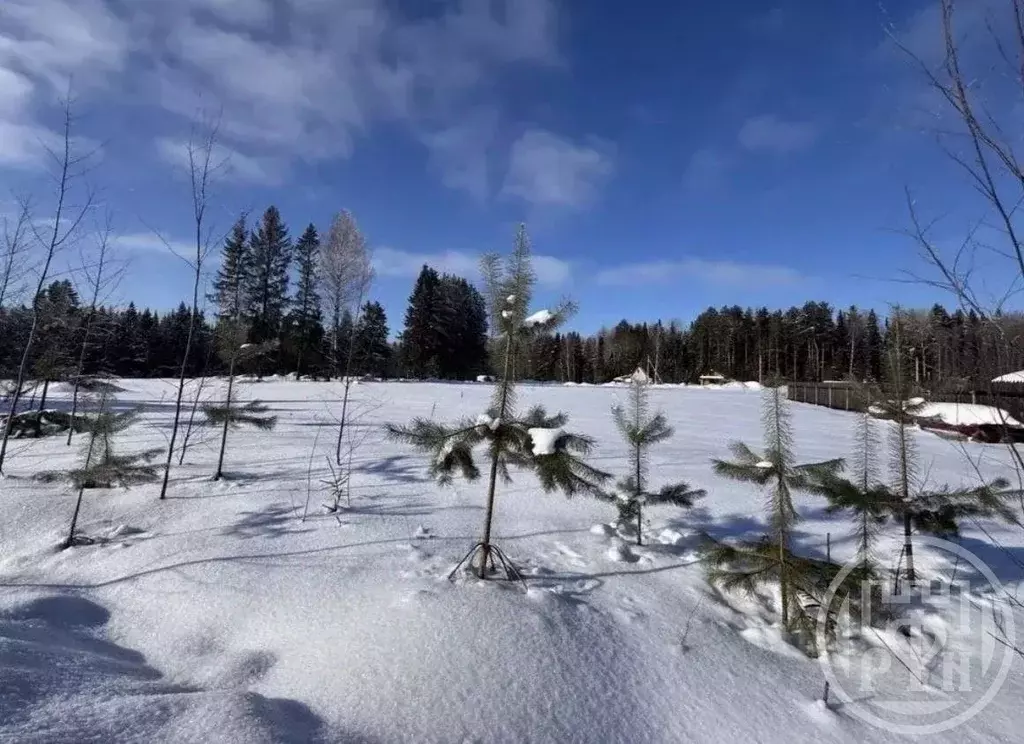 Участок в Ленинградская область, Кировский район, Синявинское ... - Фото 1