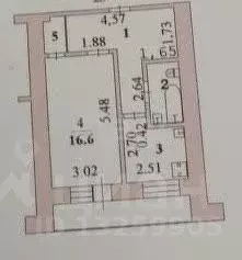 1-к кв. Липецкая область, Липецк ул. Зегеля, 27/1 (38.0 м) - Фото 1