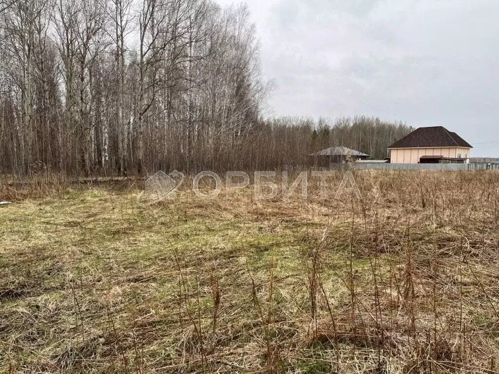 Участок в Тюменская область, Тюменский муниципальный округ, с. Кулига, ... - Фото 1