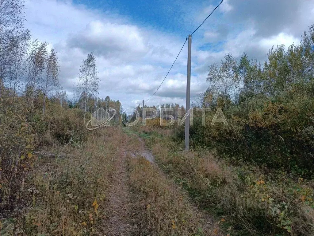 Участок в Тюменская область, Нижнетавдинский район, Сундукульский ... - Фото 0