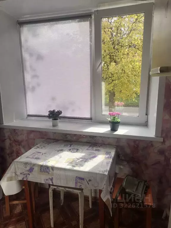 1-к кв. Новгородская область, Старая Русса ул. Крестецкая, 18/14 (35.0 ... - Фото 1