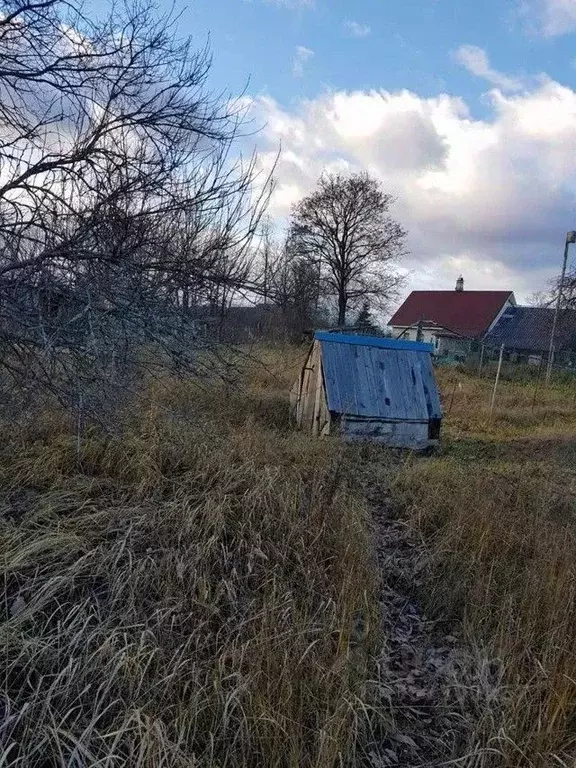 Участок в Ленинградская область, Волосовский район, Большеврудское ... - Фото 1