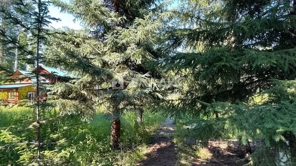 Участок в Иркутская область, Иркутский муниципальный округ, Сиберия ... - Фото 2
