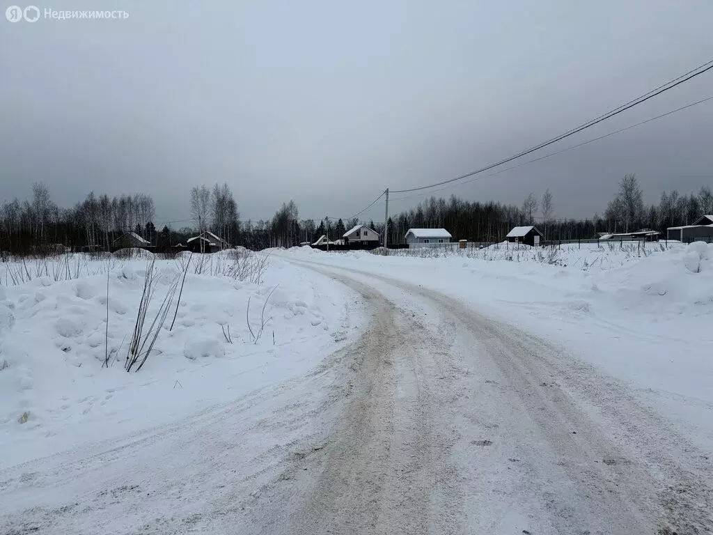 Участок в Владимирская область, Александровский муниципальный округ, ... - Фото 1