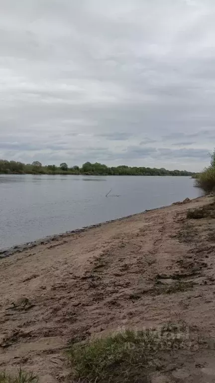 Участок в Тульская область, Заокский район, Страховское с/пос, пос. ... - Фото 1
