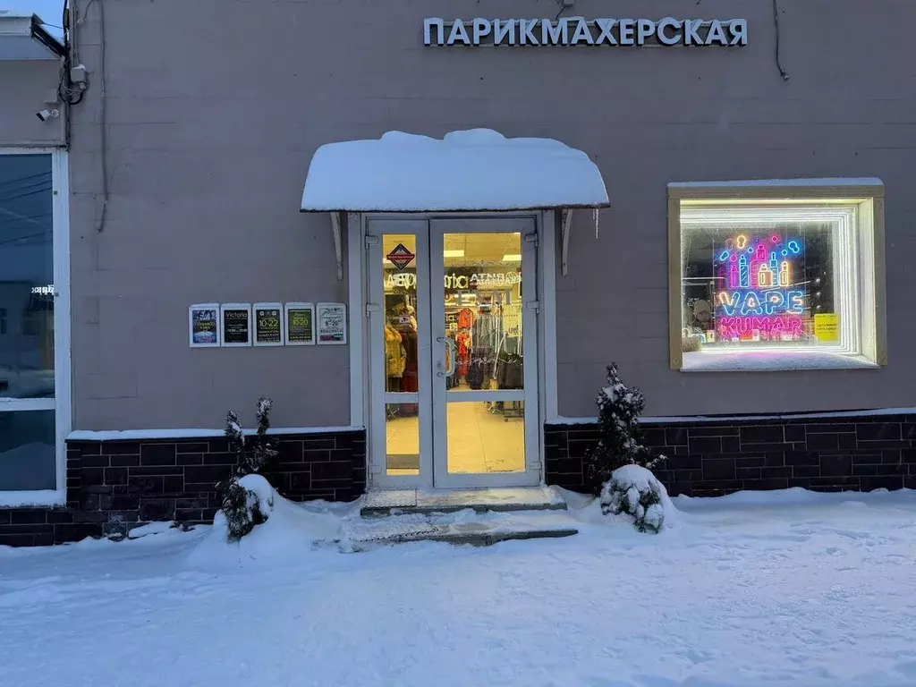 Помещение свободного назначения в Московская область, Ногинск ... - Фото 1