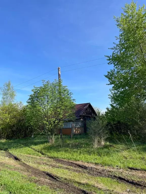 Дом в Тульская область, Алексин городской округ, с. Петрушино 45 (20 ... - Фото 1