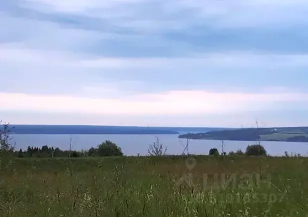 Участок в Пермский край, Добрянский муниципальный округ, д. Залесная ... - Фото 0