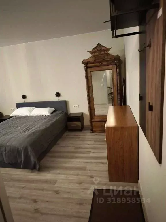 1-к кв. Санкт-Петербург Караванная ул., 24-26 (25.0 м) - Фото 1