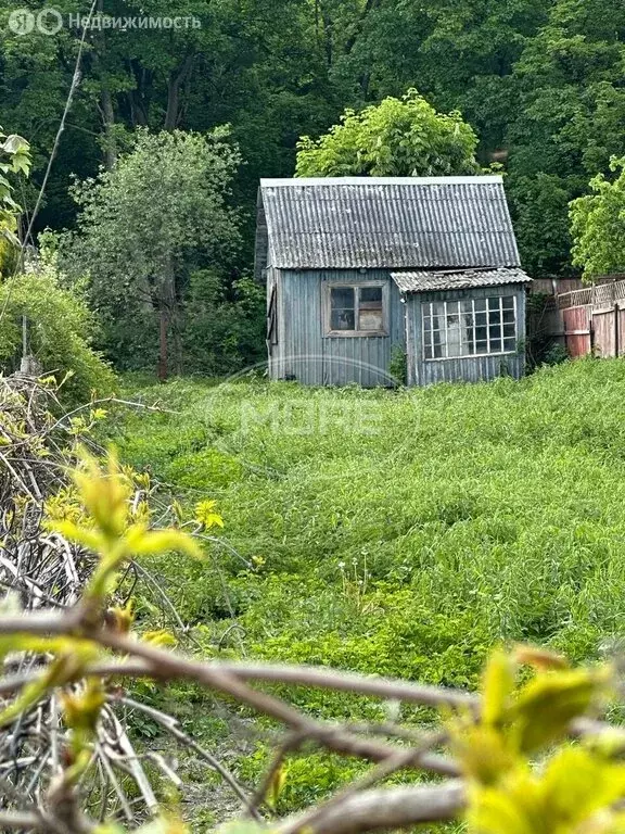 Участок в Калининград, СНТ Дружба-1, Цветочный проезд, 8 (7.82 м) - Фото 2