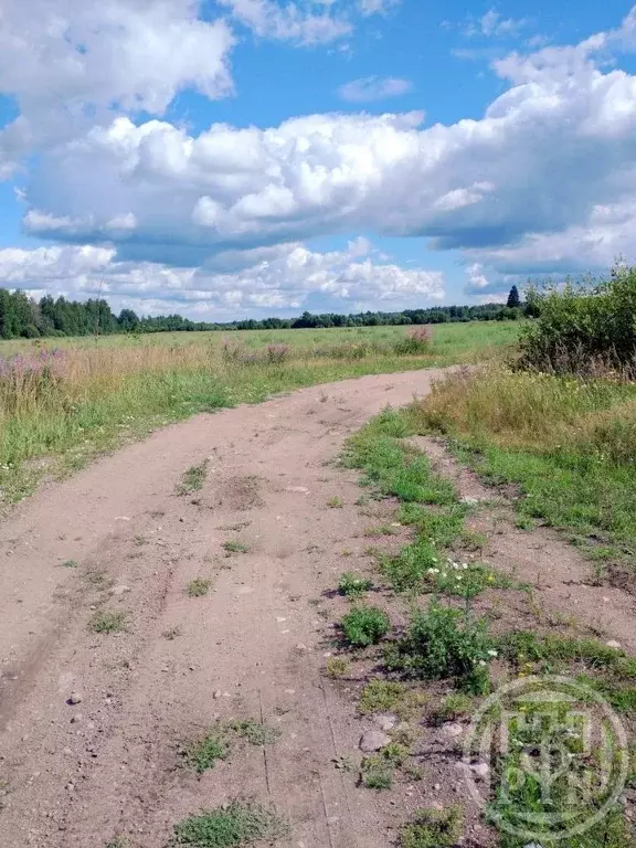Участок в Ленинградская область, Выборгский район, Красносельское ... - Фото 0