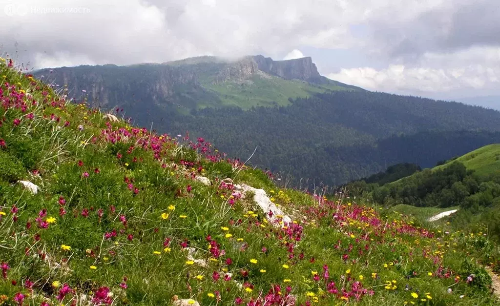 Участок в село Ибрагимово, Солнечная улица (10 м) - Фото 1