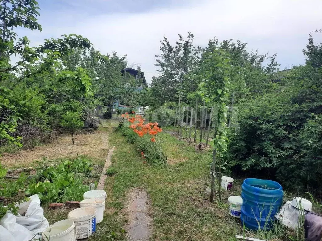 Дом в Хакасия, Абакан Самохвал дачный район,  (22 м) - Фото 2