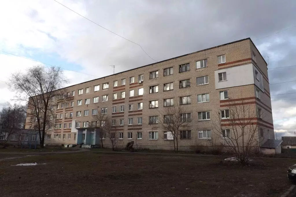 Квартира-студия: Бор, улица Чугунова, 13 (13 м) - Фото 1