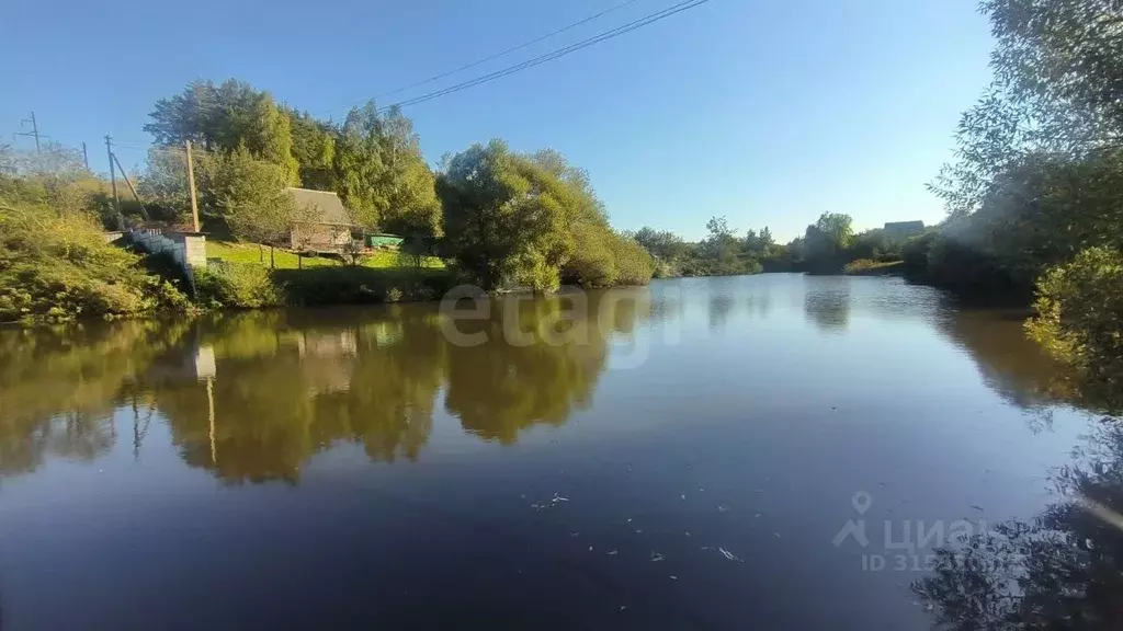 Участок в Брянская область, Брянский район, Мичуринское с/пос, ... - Фото 1