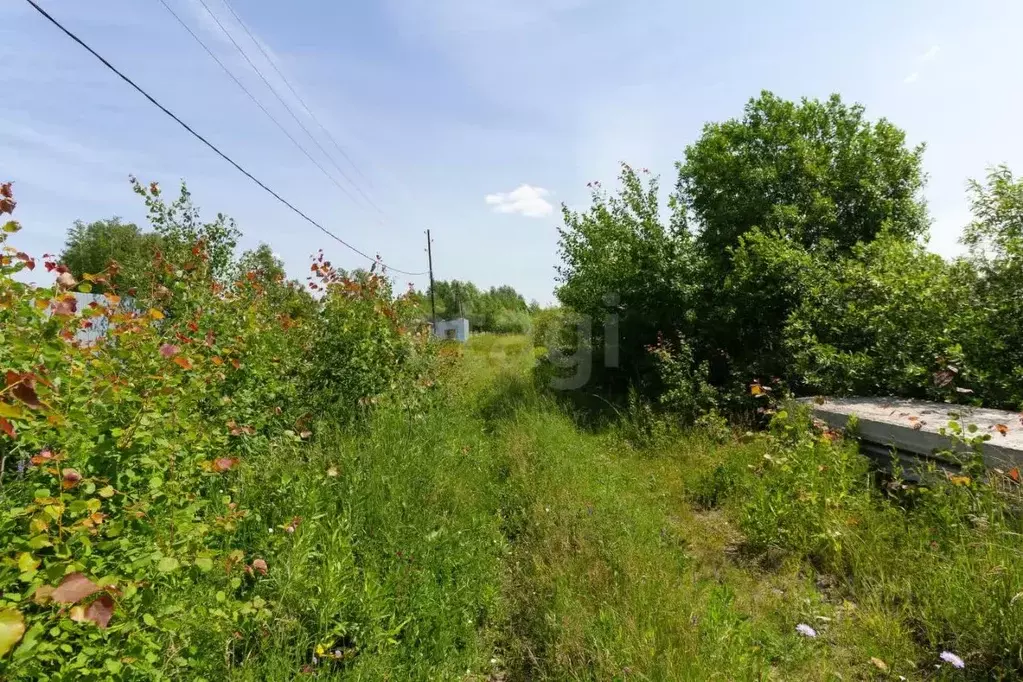 Участок в Тюменская область, Тюмень Собственников недвижимости Весна ... - Фото 1
